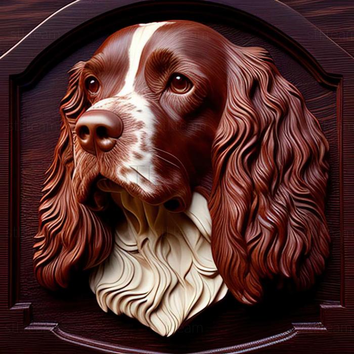 Animals English Springer Spaniel dog